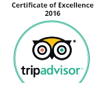 TripAdvisor